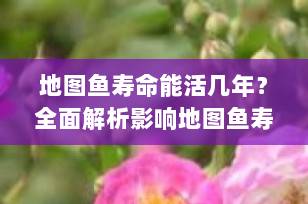 地图鱼寿命能活几年？全面解析影响地图鱼寿命的关键因素