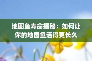 地图鱼寿命揭秘：如何让你的地图鱼活得更长久