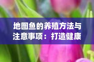 地图鱼的养殖方法与注意事项：打造健康活泼的热带水族世界