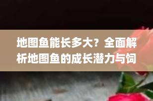 地图鱼能长多大？全面解析地图鱼的成长潜力与饲养要点