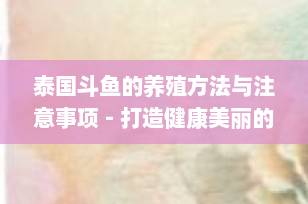 泰国斗鱼的养殖方法与注意事项 - 打造健康美丽的水族宠物
