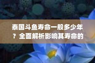 泰国斗鱼寿命一般多少年？全面解析影响其寿命的关键因素