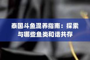 泰国斗鱼混养指南：探索与哪些鱼类和谐共存