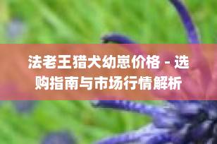 法老王猎犬幼崽价格 - 选购指南与市场行情解析