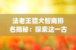 法老王猎犬智商排名揭秘：探索这一古老犬种的智慧与魅力