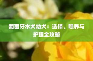 葡萄牙水犬幼犬：选择、喂养与护理全攻略