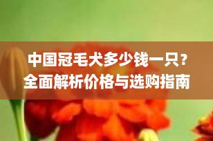 中国冠毛犬多少钱一只？全面解析价格与选购指南