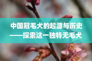 中国冠毛犬的起源与历史——探索这一独特无毛犬种的故乡