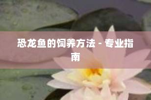 恐龙鱼的饲养方法 - 专业指南