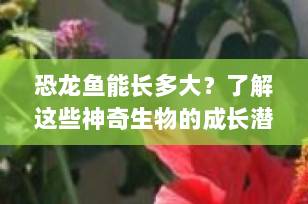 恐龙鱼能长多大？了解这些神奇生物的成长潜力