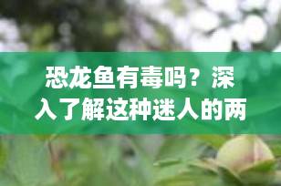 恐龙鱼有毒吗？深入了解这种迷人的两栖宠物