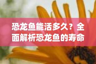 恐龙鱼能活多久？全面解析恐龙鱼的寿命与养护技巧