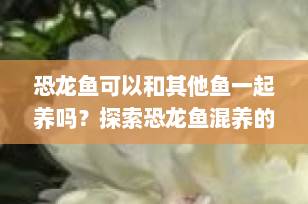 恐龙鱼可以和其他鱼一起养吗？探索恐龙鱼混养的最佳实践