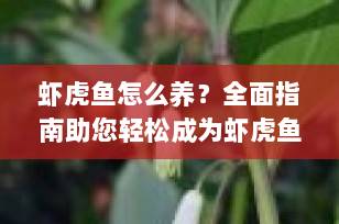 虾虎鱼怎么养？全面指南助您轻松成为虾虎鱼养殖专家