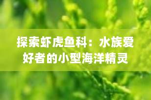探索虾虎鱼科：水族爱好者的小型海洋精灵