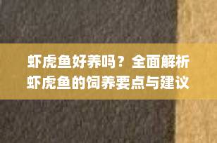 虾虎鱼好养吗？全面解析虾虎鱼的饲养要点与建议