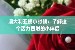 澳大利亚梗小时候：了解这个活力四射的小伴侣