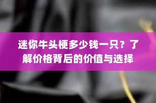 迷你牛头梗多少钱一只？了解价格背后的价值与选择
