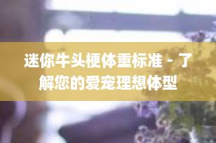 迷你牛头梗体重标准 - 了解您的爱宠理想体型