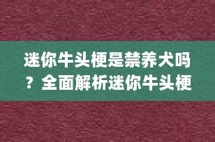 迷你牛头梗是禁养犬吗？全面解析迷你牛头梗的饲养规定与注意事项