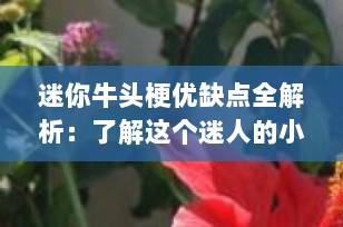 迷你牛头梗优缺点全解析：了解这个迷人的小型斗士