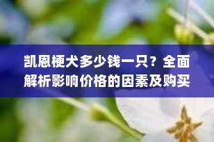 凯恩梗犬多少钱一只？全面解析影响价格的因素及购买建议