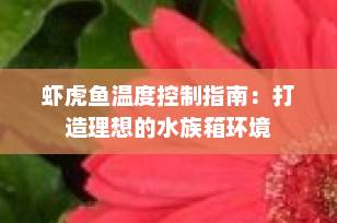 虾虎鱼温度控制指南：打造理想的水族箱环境