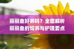 丽丽鱼好养吗？全面解析丽丽鱼的饲养与护理要点
