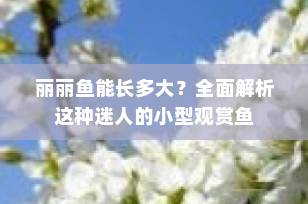 丽丽鱼能长多大？全面解析这种迷人的小型观赏鱼