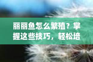 丽丽鱼怎么繁殖？掌握这些技巧，轻松培育健康小鱼苗！