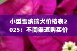 小型雪纳瑞犬价格表2025：不同渠道购买价格全解析，避免踩坑必看！