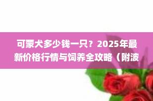 可蒙犬多少钱一只？2025年最新价格行情与饲养全攻略（附波利犬区别）