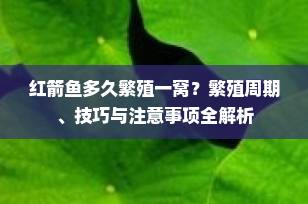 红箭鱼多久繁殖一窝？繁殖周期、技巧与注意事项全解析