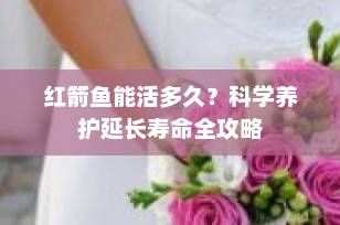 红箭鱼能活多久？科学养护延长寿命全攻略