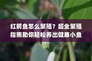 红箭鱼怎么繁殖？超全繁殖指南助你轻松养出健康小鱼苗