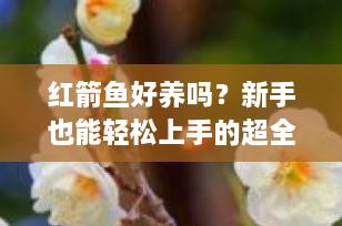 红箭鱼好养吗？新手也能轻松上手的超全饲养指南！