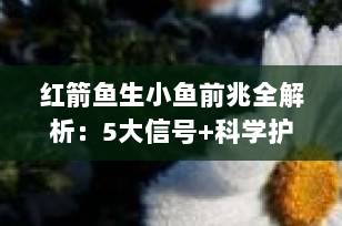 红箭鱼生小鱼前兆全解析：5大信号+科学护理指南