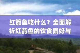 红箭鱼吃什么？全面解析红箭鱼的饮食偏好与科学喂养指南