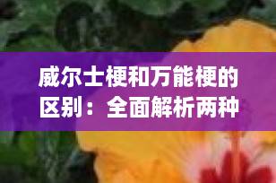 威尔士梗和万能梗的区别：全面解析两种经典梗犬的异同