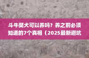 斗牛獒犬可以养吗？养之前必须知道的7个真相（2025最新避坑指南）