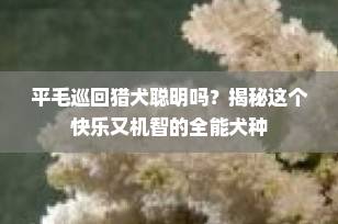 平毛巡回猎犬聪明吗？揭秘这个快乐又机智的全能犬种