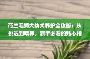 荷兰毛狮犬幼犬养护全攻略：从挑选到喂养，新手必看的贴心指南