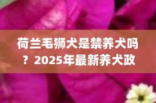 荷兰毛狮犬是禁养犬吗？2025年最新养犬政策解读+适养指南
