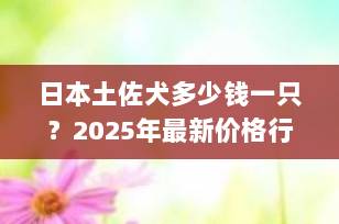 日本土佐犬多少钱一只？2025年最新价格行情与饲养全解析