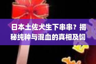 日本土佐犬生下串串？揭秘纯种与混血的真相及饲养要点