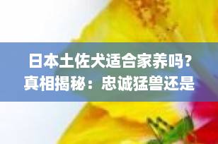 日本土佐犬适合家养吗？真相揭秘：忠诚猛兽还是家庭隐患？