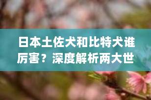 日本土佐犬和比特犬谁厉害？深度解析两大世界名犬实力对比