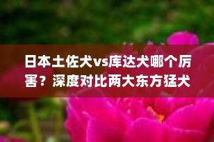 日本土佐犬vs库达犬哪个厉害？深度对比两大东方猛犬之王