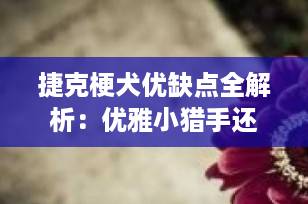 捷克梗犬优缺点全解析：优雅小猎手还是理想家庭伴侣？一文读懂！