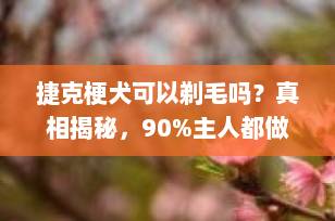 捷克梗犬可以剃毛吗？真相揭秘，90%主人都做错了！